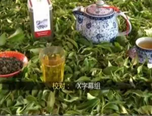 《1080P 中英双字！纪录片<制造的原理/造物小百科>第二十一季全 13 集百度网盘资源》-小文资源网