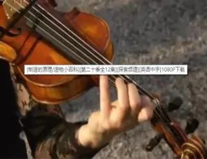 《造物小百科：1080P 中英双字第二十季全 12 集百度网盘资源》-小文资源网