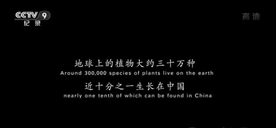 纪录片《影响世界的中国植物 2019》[1080P][10集 国语配音中文字幕][百度网盘]