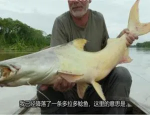 《1080P 英语中字！纪录片<狂野之河/杰里米·维德的河流之旅>第一季 6 集百度网盘资源》-小文资源网