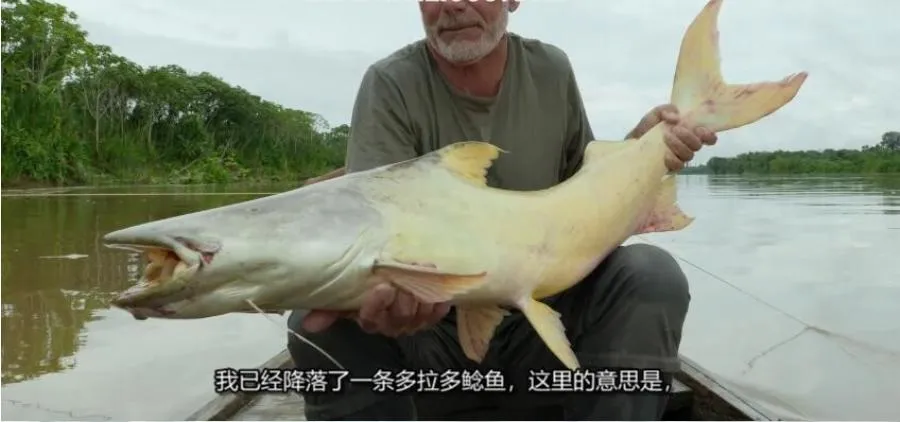 纪录片《狂野之河/杰里米·维德的河流之旅》[1080P][第一季共6集 英语中字][百度网盘]