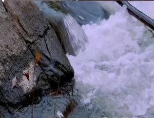 1080P《泳池建造大师》第一季4集（英语中字），百度网盘资源速取！-小文资源网