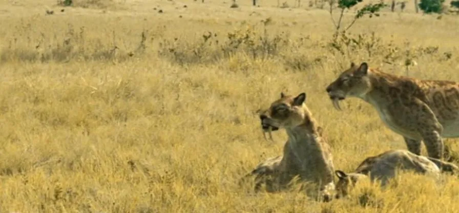 [记录片]《与古兽同行/与野兽共舞》[6集 英语中字][百度网盘]