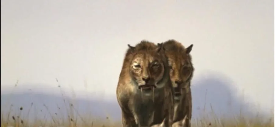 [记录片]《与古兽同行/与野兽共舞》[6集 英语中字][百度网盘]