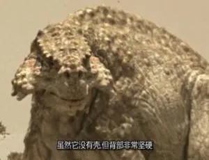 探秘史前巨兽：3集英语中字《与巨兽同行》纪录片百度网盘资源-小文资源网