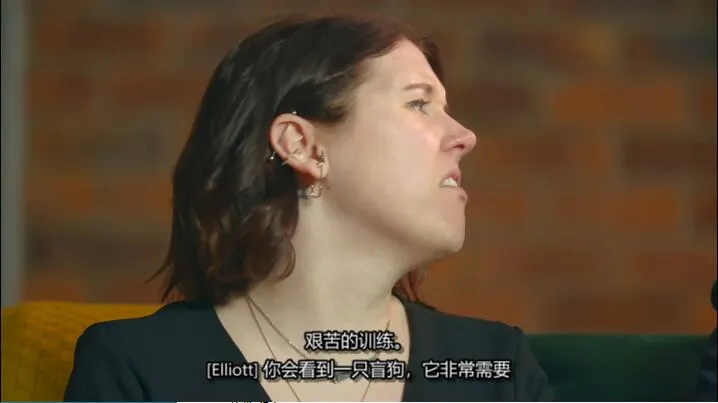 [记录片]《狗狗之家 The Dog House》[第1季共8集  英语中字][百度网盘]