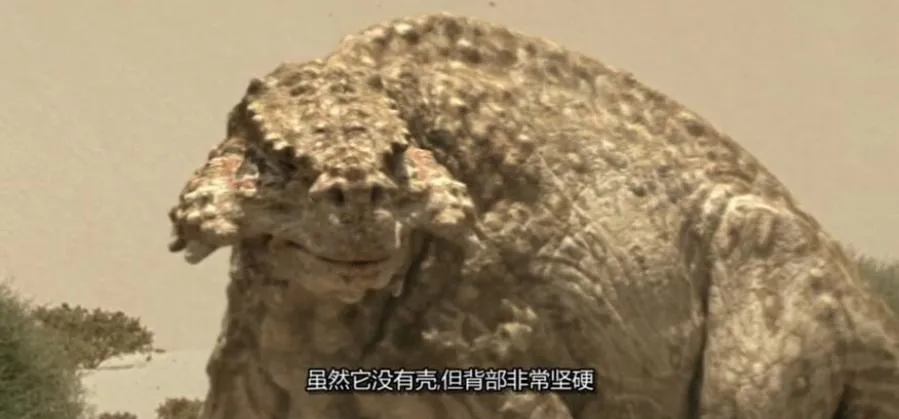 [记录片]《与巨兽同行》[3集 英语中字][百度网盘]