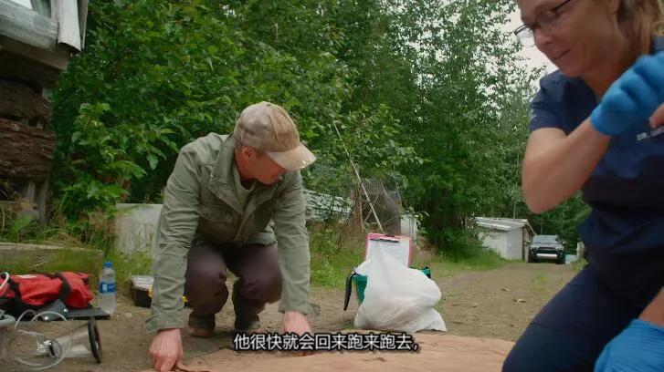 [记录片]《动物侠医/育空兽医 Dr. Oakley, Yukon Vet》[第9季共10集  英语中字][百度网盘]