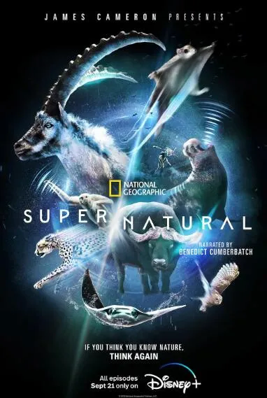 [记录片]《超凡动物奇观 Super Natural》[第1季共6集 国语中字][百度网盘]