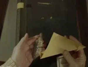 纪录片《帝王蝶的迁徙》1集（英语配音+中文字幕）百度网盘资源-小文资源网