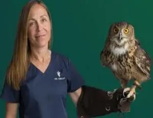 《动物侠医第9季：育空兽医的10集精彩之旅（英语中字 百度网盘）》-小文资源网