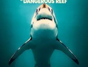 《震撼！危险礁巨鲨第一季全1集，英语中字百度网盘速看》-小文资源网
