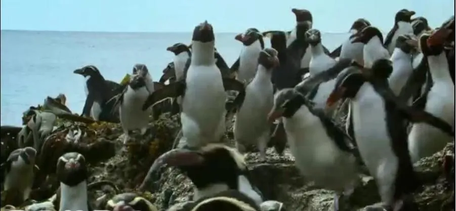 [记录片]《新西兰：地球上的神话之岛》[3集 原声配音中英双字][百度网盘]