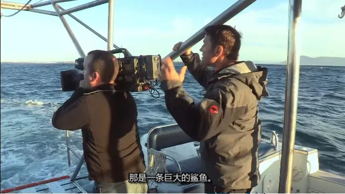 [记录片]《60种致命动物/致命的60种生物 Deadly 60》[第二季共8集 英语中字][百度网盘]