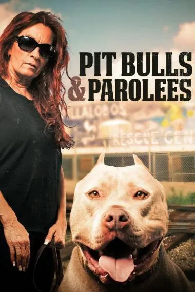 [记录片]《狗儿救援迎新生 Pit Bulls and Parolees》[第3季共12集 英语中字][百度网盘]